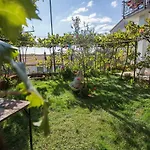 Jaksa 181